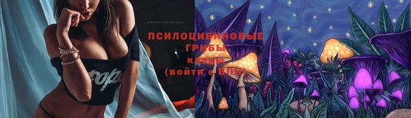 ГАЛЛЮЦИНОГЕННЫЕ ГРИБЫ Кулебаки