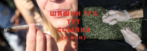 ГАЛЛЮЦИНОГЕННЫЕ ГРИБЫ Кулебаки