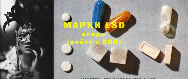 ГАЛЛЮЦИНОГЕННЫЕ ГРИБЫ Кулебаки