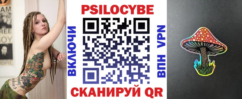 Купить  Новочеркасск  Галлюциногенные грибы Psilocybine cubensis 